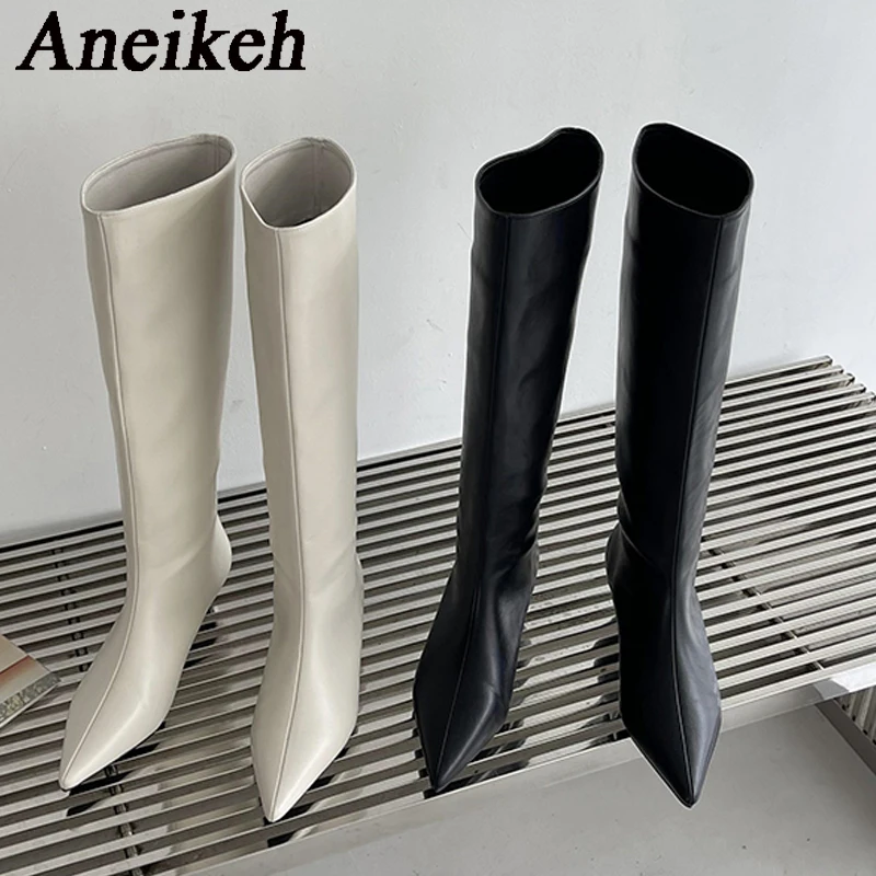 아네이케 2026 패션 섹시 포인티드 로우힐 니하이 롱 - Women'S Fashion Knee High Boots 리뷰 및 가격